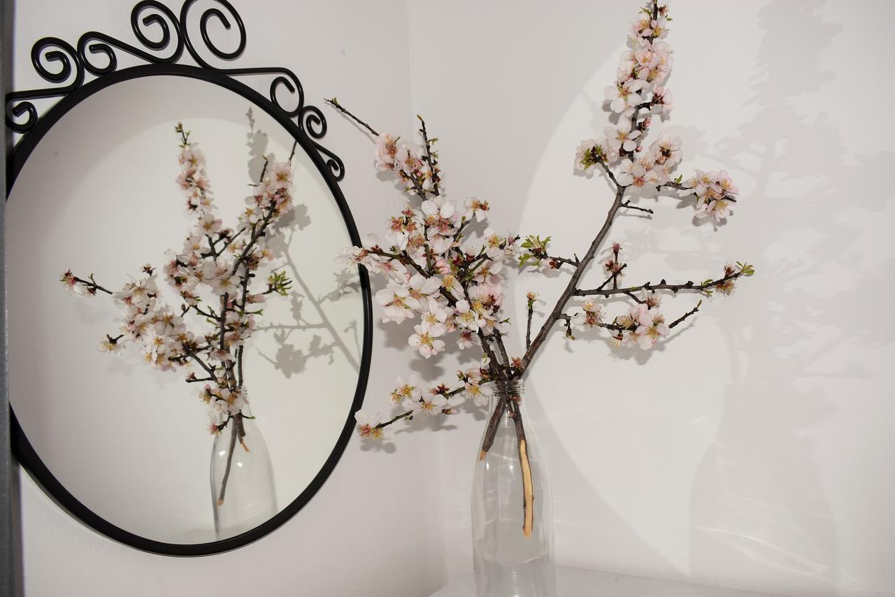 ספליט Apartment Antonija מראה חיצוני תמונה